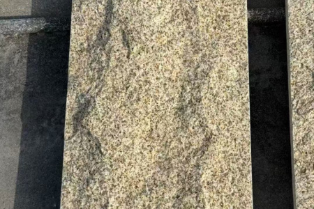 蝦紅蘑菇石