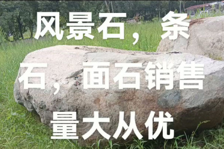 風(fēng)景石