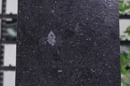 黑金鉆-皮革