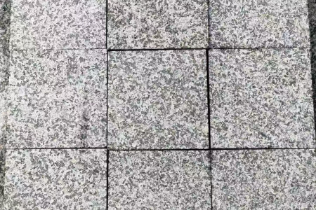 廣西芝麻黑小方塊
