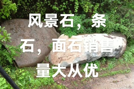 風(fēng)景石
