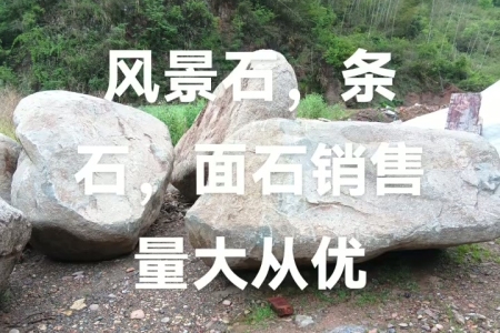 風(fēng)景石