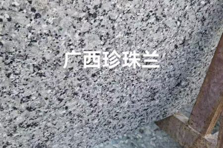 廣西珍珠蘭