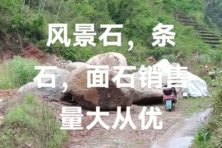 風(fēng)景石