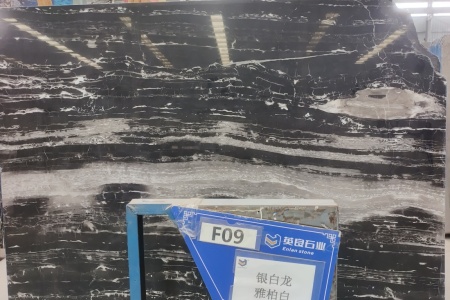 銀白龍