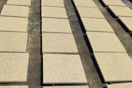 黃金麻荔枝面