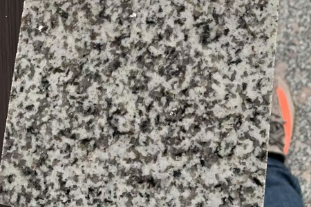 江西金點白麻