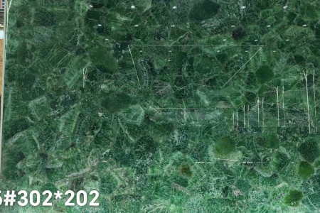 綠瑩15859760989