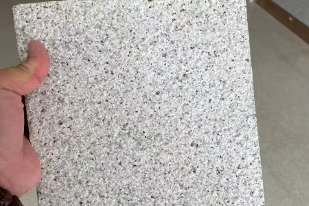 漳浦蝦紅荔枝面