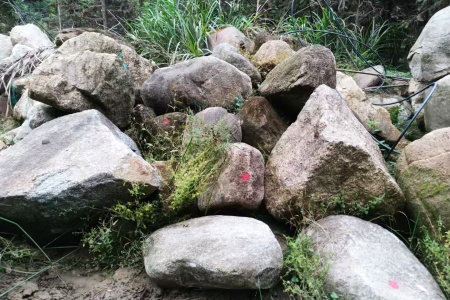 野山青苔石
