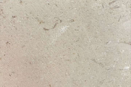 月光米黃