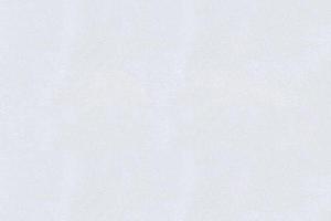 白雪公主