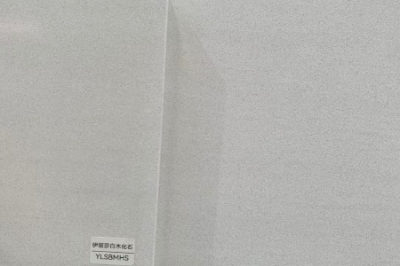 伊麗莎白木化石