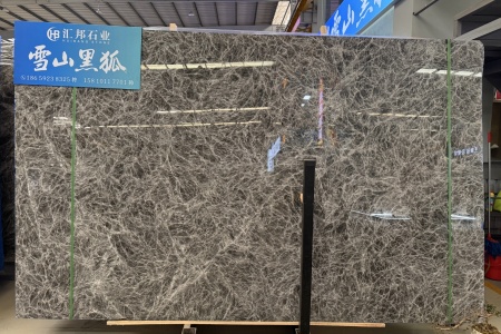 雪山黑狐