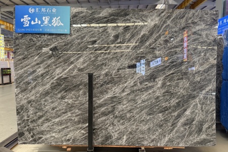 雪山黑狐