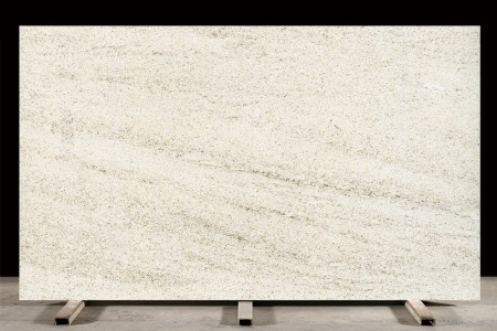 木化石