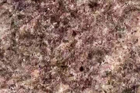 棕鉆荔枝面