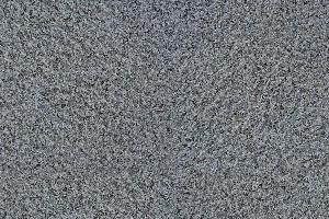 廉江芝麻黑荔枝面
