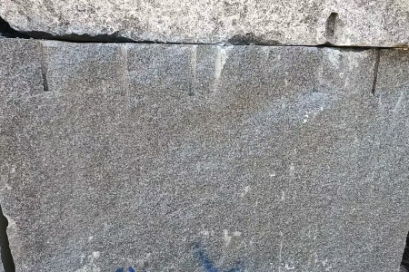 芝麻黑