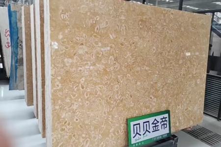 貝貝金帝