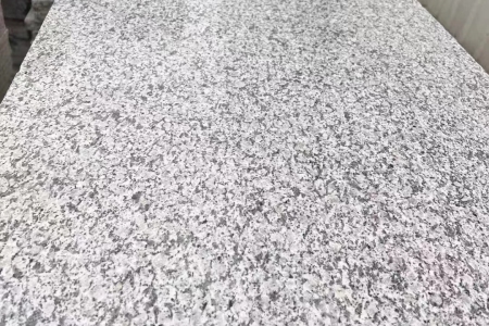 江西芝麻白荔枝面