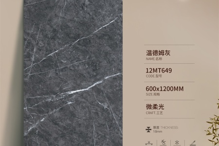 溫德姆灰12MT649
