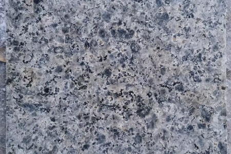 新藍(lán)眼睛