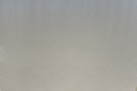 法國銀灰