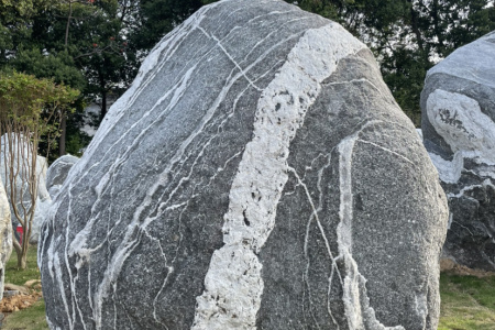 泰山石，雪浪石