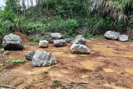 華安石