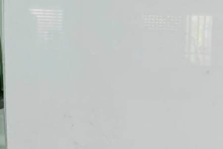 鵝毛白