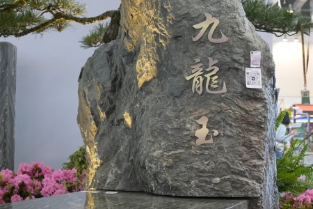 九龍玉景觀石