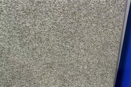 龍眼面
