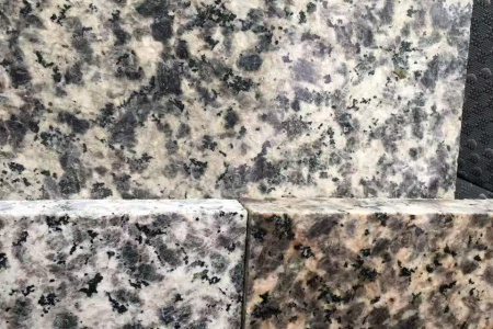 豹皮花