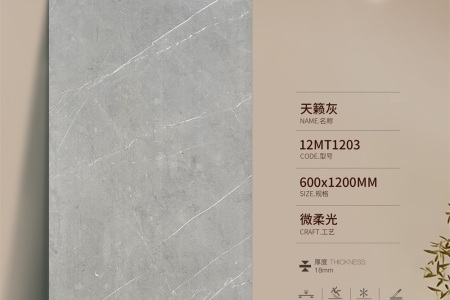 天籟灰12MT1203