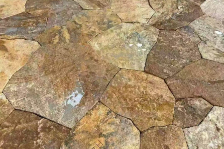 老石皮