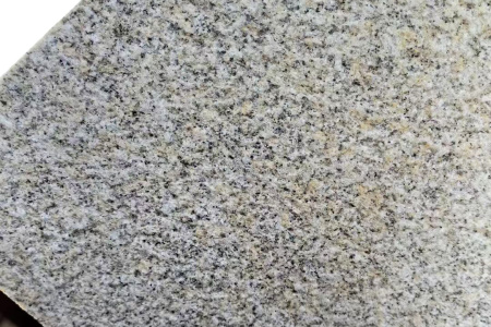 山東黃金麻荔枝面