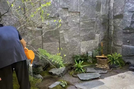 老石皮