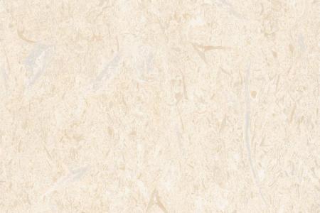 ST126P031貝金米黃平面