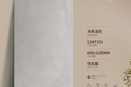 光年淺灰12MT253