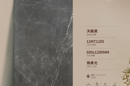 天籟黑12MT1205
