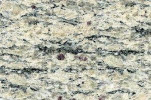淺紫點