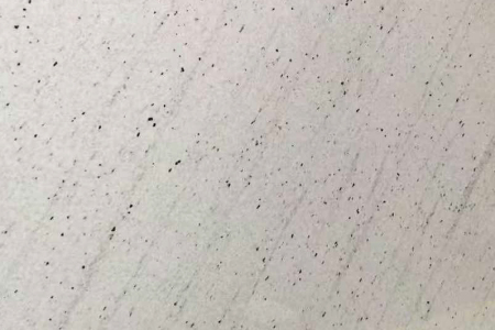 巴西白金/維多利亞白