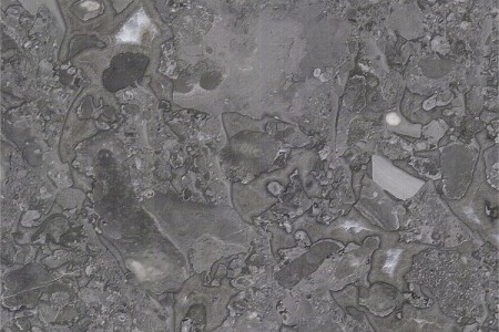 溫德姆灰