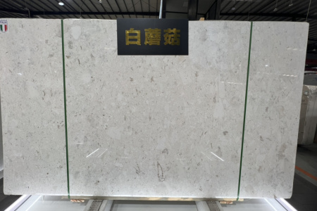 白蘑菇