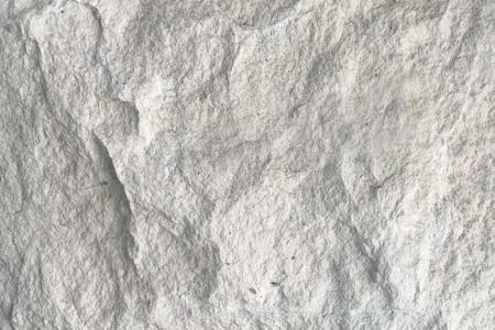 葡萄牙米黃蘑菇面