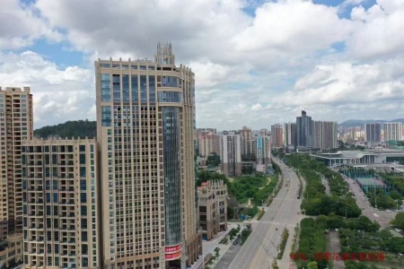 金點秀案例