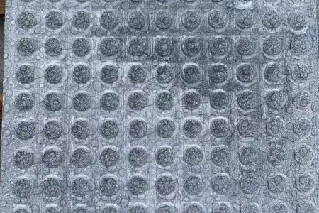 芝麻灰盲點(diǎn)石