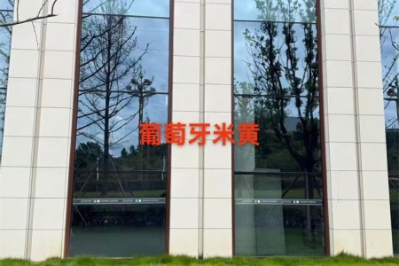 工程案例