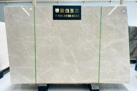 聯(lián)盈白玉蘭
